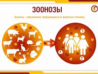 Всемирный день зоонозных заболеваний.