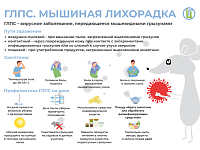 О профилактике геморрагической лихорадки!