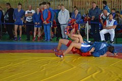 Состоялся первый турнир по самбо, посвящённый памяти Р.А. Сапожникова