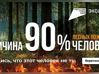 Осторожно, огонь! Жителям региона напомнили о рисках возникновения лесных пожаров