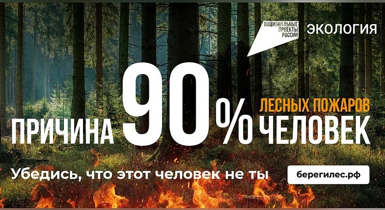 Осторожно, огонь! Жителям региона напомнили о рисках возникновения лесных пожаров