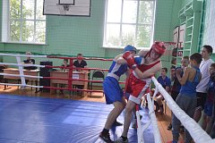 В  Турках прошёл открытый турнир по боксу
