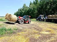 От зерна до урожая: о летних работах на полях