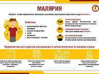 Всемирный день борьбы против малярии. Малярия – история болезни.  Меры профилактики малярии