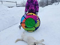 Зимняя сказка: Время радости, смеха и активных приключений