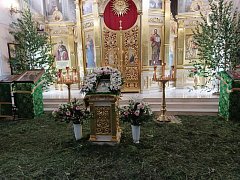 День, когда зелень шепчет о жизни