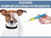 Внимание, бешенство! 