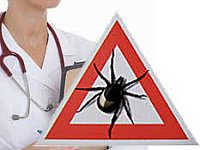 Как защитить себя от клещевого энцефалита!