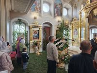 День, когда зелень шепчет о жизни