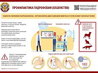 Осторожно - бешенство!
